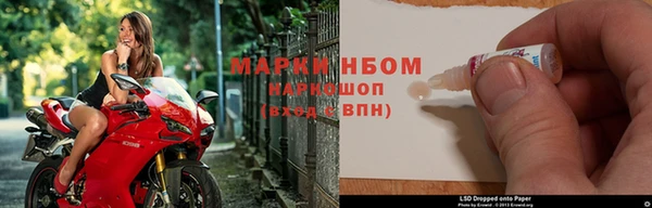 амф Новодвинск