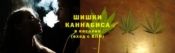 амф Новодвинск