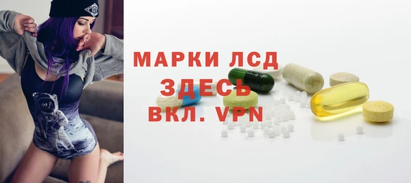 амф Новодвинск