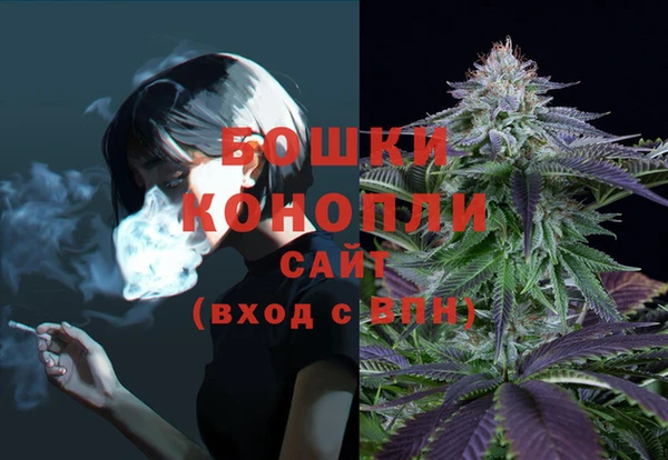 амф Новодвинск
