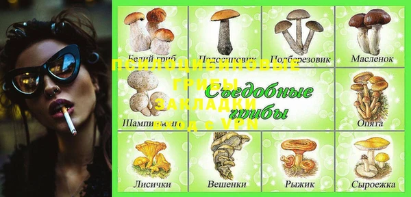 амф Новодвинск