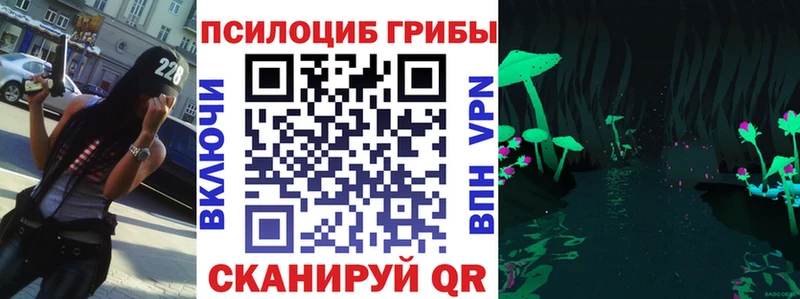 Галлюциногенные грибы мухоморы  где можно купить наркотик  даркнет как зайти  Екатеринбург 
