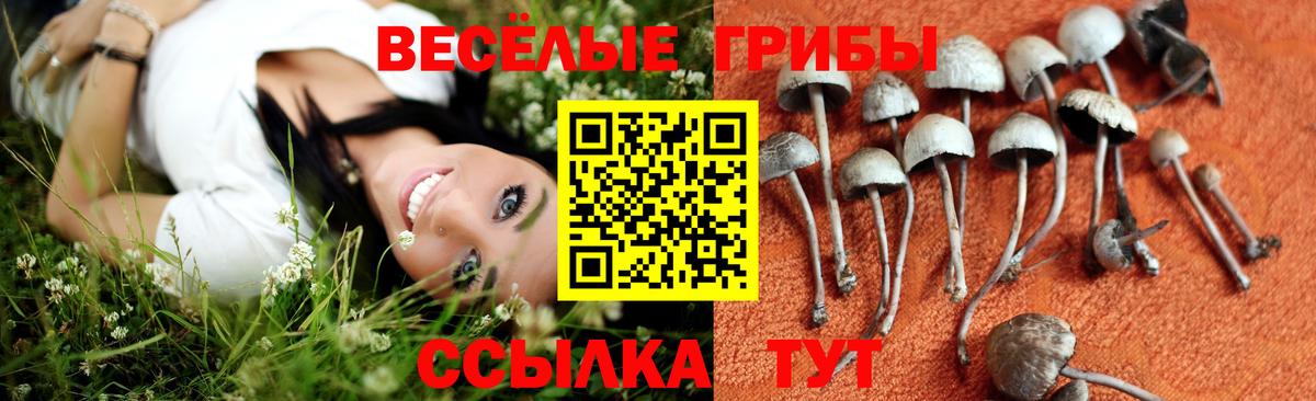 Екатеринбург  Псилоцибиновые грибы ЛСД  цена   Вход с VPN 