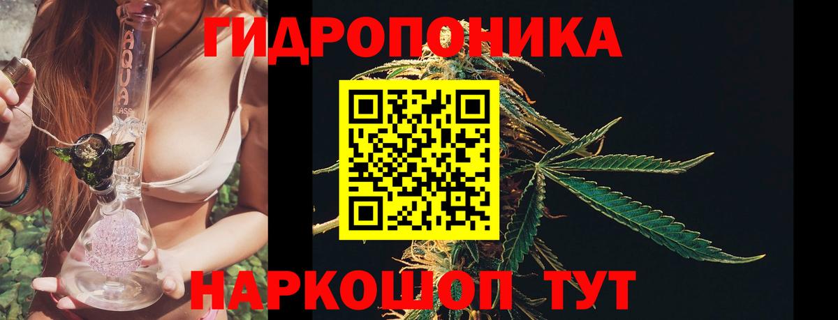Конопля сатива Екатеринбург